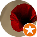 Andrea Ribes profile picture