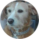 Victoria de Corta profile picture